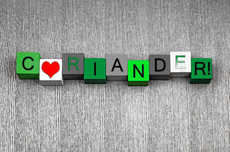 I Love Coriander, sign series for herbs, spices, cooking and recipes, in green の写真素材