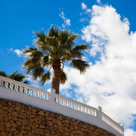 Palm trees, blue sky   hot sunny day - warm climates abroad for holdiays and vacations の写真素材