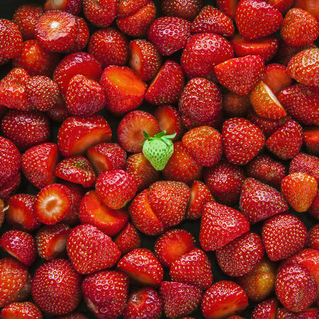 Feeling Overwhelmed  Business concept - competition, starting up in business, marketing, and for originality, advertising, branding, being different, finding place in market and how to stand out  の写真素材