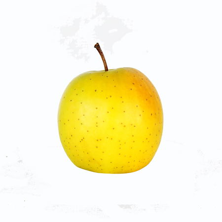 One Whole Golden Delicious Apple isolated on white background, with stalk.の写真素材