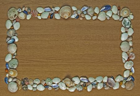 Shells and more seashells - seashell frame on wooden background with text space.