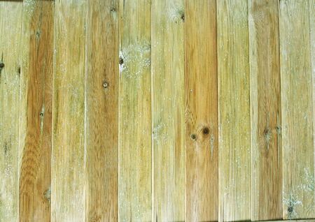 Faded wood panels with knots, and white and green algae decay.の写真素材