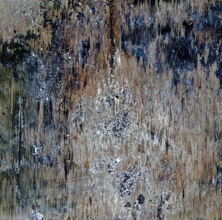 Wood board abstract and grunge vintage background - square.の写真素材