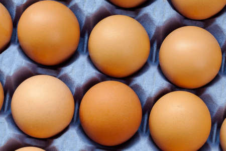 Eggs in carton tray.