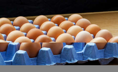 eggs on trayの写真素材