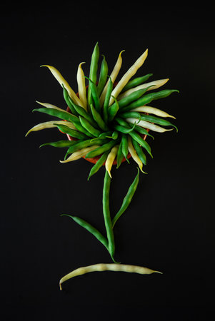 Green and yellow bean flower on a black background. Copy Space for Text. Website Banner Poster Template. Vegetarian Superfoods.の写真素材