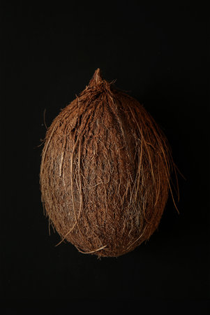 Close-up of an exotic and fresh coconut on a black background. Fresh, ripe and organic fruit of coconut. Bright brown nut full of vitamins. Healthy summer ingredients. Top view of a whole coconutの写真素材