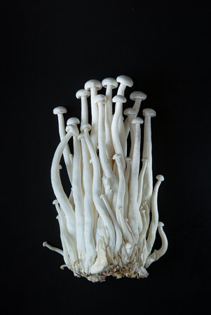 Enoki mushrooms - Asian Food Products. Black backgroundの写真素材