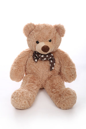 Teddy bear isolated on white backgroundの写真素材