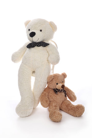 Two teddy bears, bigger and smaller, are sitting close to each other like they are best friends.の写真素材