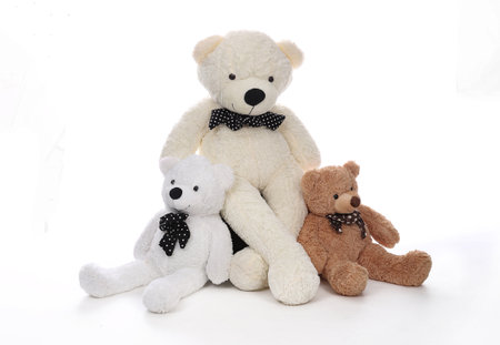 Three teddy bears on white backgroundの写真素材