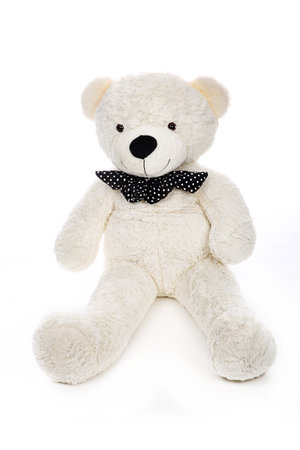 White polar teddy bear, isolated on whiteの写真素材