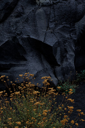 The texture of volcanic lava. Mount Etna. Sicilyの写真素材