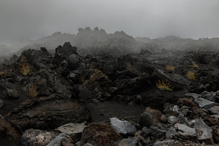 The texture of volcanic lava. Mount Etna. Sicilyの写真素材