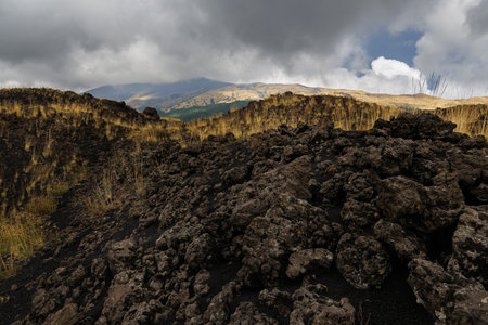 Volcanic Landscape in Etna National Park.の写真素材