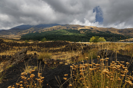 Volcanic Landscape in Etna National Park.の写真素材