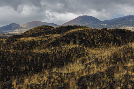 Volcanic Landscape in Etna National Park.の写真素材