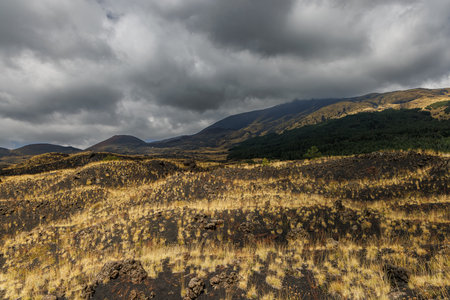 Volcanic Landscape in Etna National Park.の写真素材