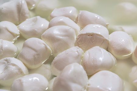Fresh soft Italian white cheese mozzarella buffalo at the food market in Palermo.