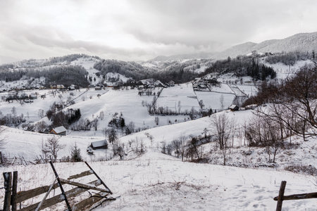 Traditional rural village covered with fresh snow in the Carpathian Mountains, Romania. Winter countryside landscape with wooden houses, rolling hills, forested slopes and falling snow, calm seasonal atmosphere.の写真素材