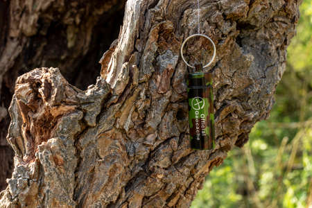 A geocaching container hidden in a hollow tree stump. The cache is suspended from a nylon thread.