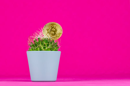 Bitcoin in a cactus with a pink background. Concept high risk investment.の写真素材