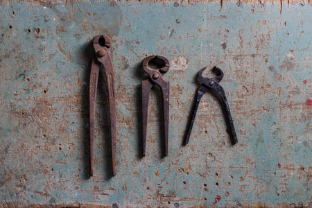 Three vintage pincers on a rustic surface flat lay top viewの写真素材