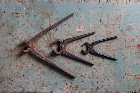 Three vintage pincers on a rustic surface flat lay top viewの写真素材