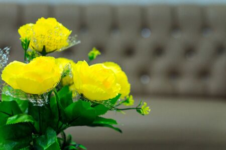 flower on frameの写真素材