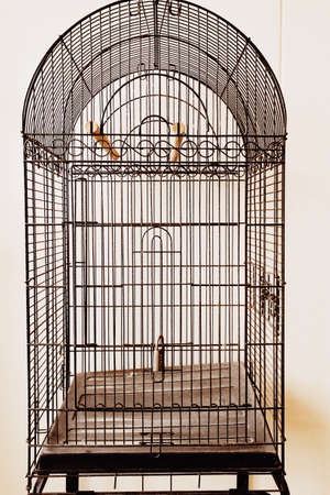 Empty bird cage
