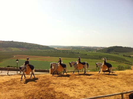 A medieval womans riding horses の素材