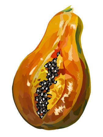 Tasty and juicy vector art of papayaのイラスト素材