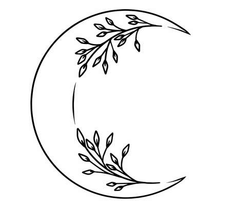 Simple, lined moon with wild nature flowers, leaves, bushes. Minimalistic lined vector art.のイラスト素材