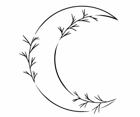 Simple, lined moon with wild nature flowers, leaves, bushes. Minimalistic lined vector art.のイラスト素材