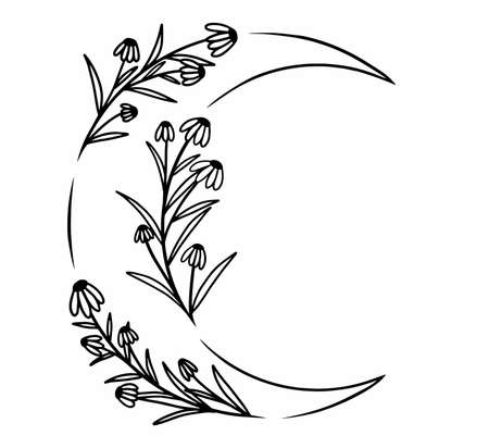 Simple, lined moon with wild nature flowers, leaves, bushes. Minimalistic lined vector art.のイラスト素材