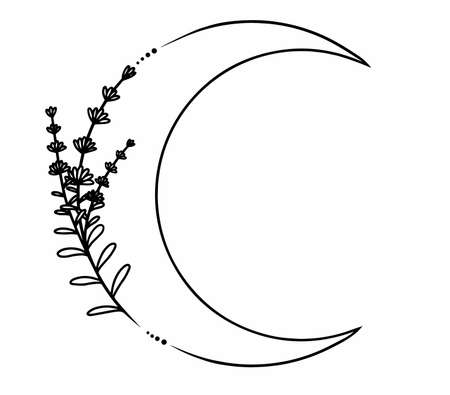 Simple, lined moon with wild nature flowers, leaves, bushes. Minimalistic lined vector art.のイラスト素材