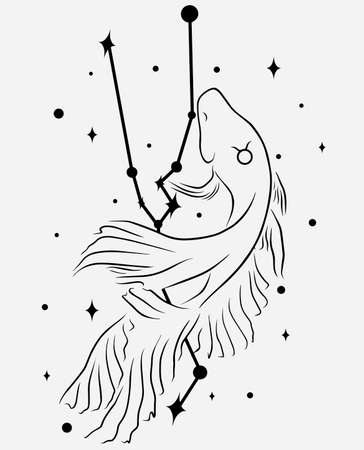 Taurus star constellation. Magical zodiac sign vector art. Simple black line illustrationのイラスト素材