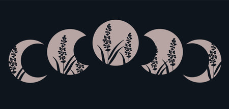 Magical art with moon, butterfly, crystals, leaves, sparkles. Vector boho artのイラスト素材