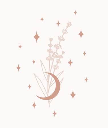 Simple. minimalistic plants with moon and stars. Magical, boho style minimal vector art.のイラスト素材