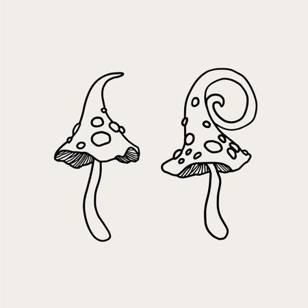 Magical mushrooms. Black line vector art.のイラスト素材