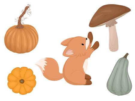 Autumn collection with pumpkinsのイラスト素材