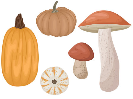 Autumn collection with pumpkinsのイラスト素材