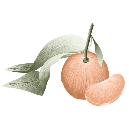 Christmas theme vector art illustrations with Christmas/winter decorations, food.のイラスト素材