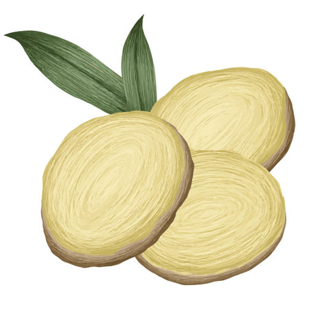 Ginger compositionの写真素材