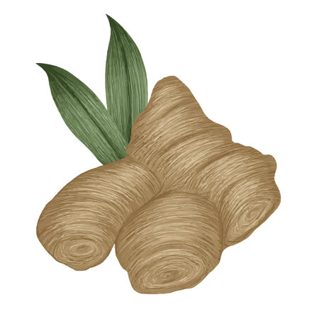 Ginger compositionの写真素材