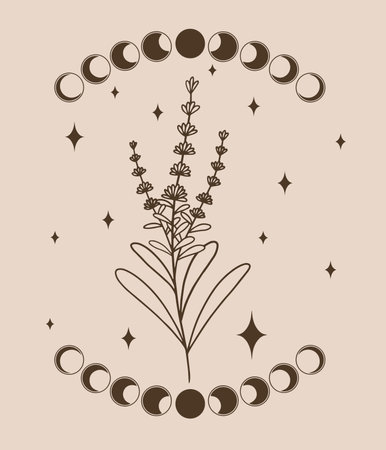 Vector illustration of a flower, moon cycles and stars.のイラスト素材