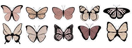 Butterfly set. Silhouettes of butterflies. Vector illustrationのイラスト素材