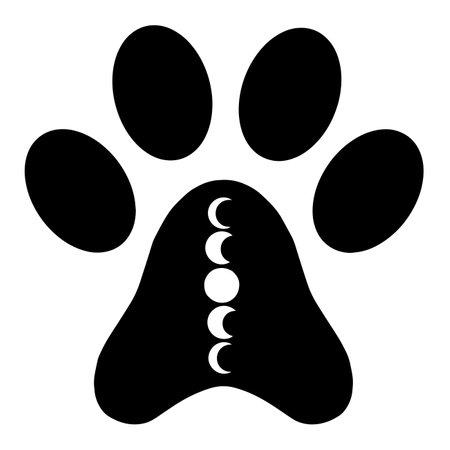 Paw with moon cycle, silhouette dog paw, vector artのイラスト素材