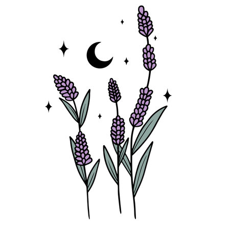 Minimalistic line art illustration of flowers with moon and stars, vector artのイラスト素材