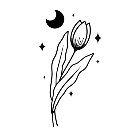 Minimalistic line art illustration of flowers with moon and stars, vector artのイラスト素材